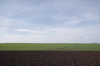 Blick auf das Feld in Apelnstedt